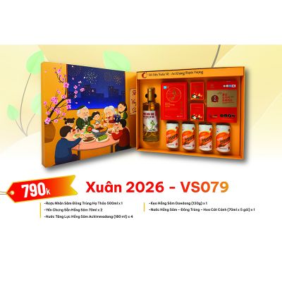 Quà Tặng Quà Biếu Hồng Sâm Xuân 2026 - VS079
