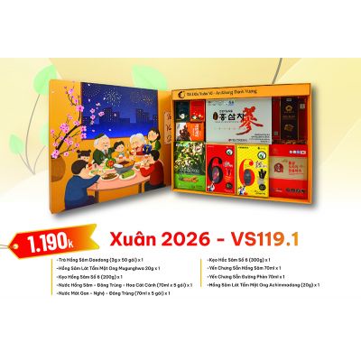 Quà Tặng Quà Biếu Hồng Sâm Xuân 2026 - VS119-1