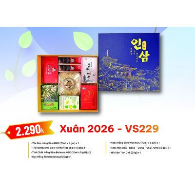 Quà Tặng Quà Biếu Hồng Sâm Xuân 2026 - VS229